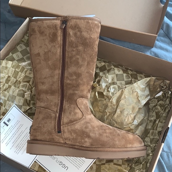 UGG Women’s Sumner Boot (Chestnut) - Picture 2 of 4